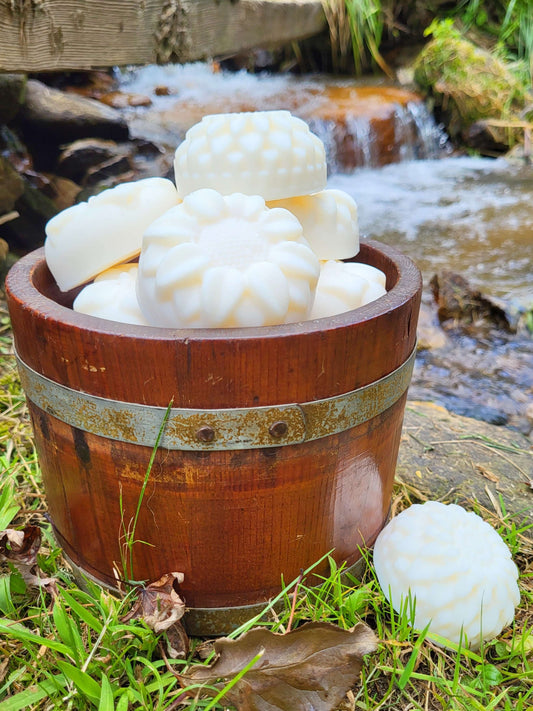 Old fashioned solid dish soap in front of a creek