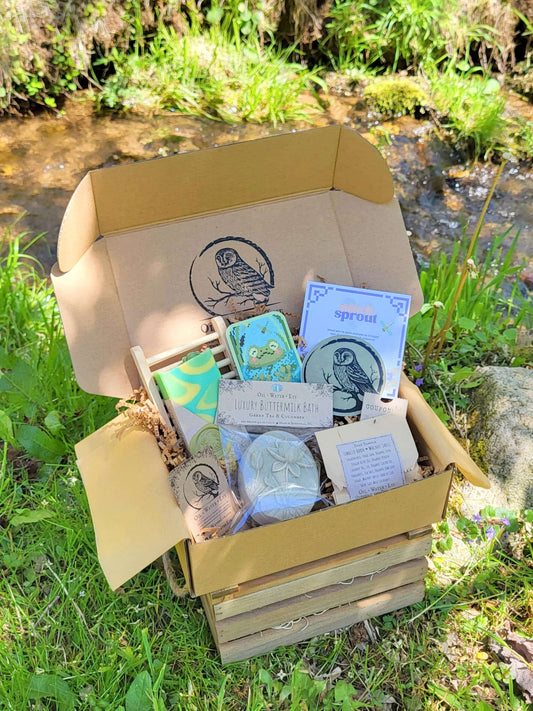 Frog Soap Collection Box with Stitch Sprout